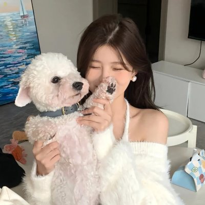 戴洛奇小镇第一季